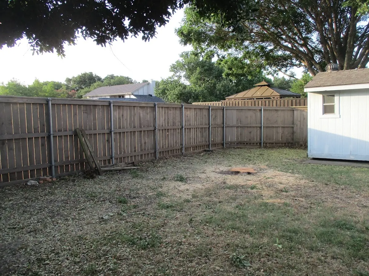 Cleared yard after professional tree removal in Pennington Gap